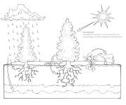 Coloriage Biologie des &eacute;cosyst&egrave;mes