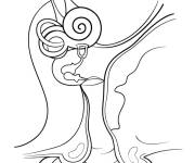 Coloriage Biologie du coeur humaines