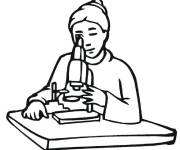 Coloriage Des organismes au microscope