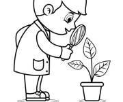 Coloriage Gar&ccedil;on &eacute;tudie la biologie d'une plante