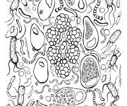 Coloriage Les microbes microscope