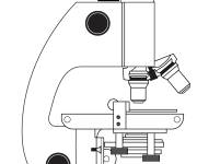 Coloriage Microscope d&eacute;taill&eacute;