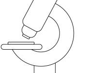 Coloriage Microscope en vecteur pour ce1