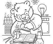 Coloriage Ours biologiste