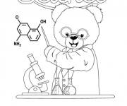 Coloriage Ours &eacute;tudie la biologie