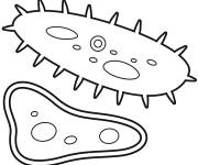 Coloriage Structure des Bact&eacute;ries