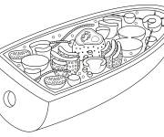Coloriage Structure des cellules fongiques