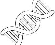 Coloriage Structure DNA Emoji