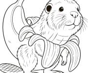 Coloriage Bobrelli Bananelli