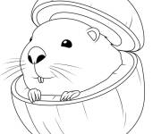Coloriage Bobrini Cococosini