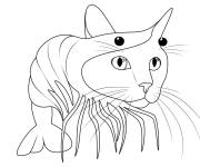 Coloriage Brainrot Trippi Troppi meme populaire