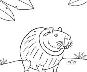 Coloriage Burbaloni Lulliloli