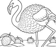 Coloriage Flamingulli-gulli-gulli