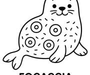 Coloriage Focaccia Foca