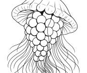 Coloriage Graipussi Medussi