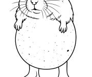 Coloriage Pipi Pomme de Terre