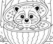 Coloriage Raccooni Watermelunni