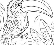 Coloriage Tukanno Bananno