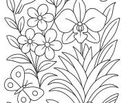 Coloriage Fleurs du Br&eacute;sil