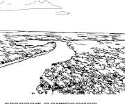 Coloriage For&ecirc;t amazonienne Manaus