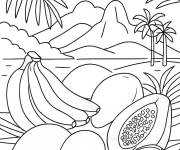 Coloriage Fruits tropicaux du Br&eacute;sil