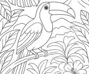 Coloriage Jungle du Br&eacute;sil