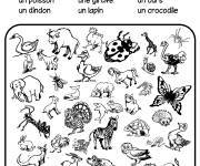 Coloriage Cherche et trouve animaux pour enfants