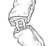Coloriage Barre de chocolat Mars