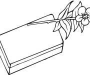 Coloriage Boite de Chocolat et une fleur pour le saint valentin