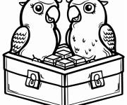 Coloriage Bo&icirc;te de chocolats avec des oiseaux