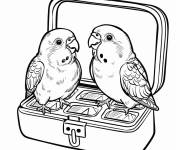 Coloriage Couple oiseaux assis sur une bo&icirc;te de chocolats