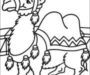 Coloriage Chameau de Cirque