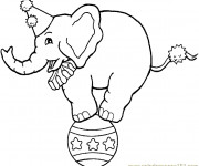 Coloriage Cirque Éléphant sur Le Ballon