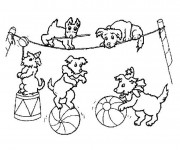 Coloriage Cirque Le Show Des Chiens