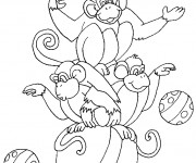 Coloriage Cirque Les Singes