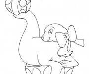 Coloriage Cirque Phoque et Ballon