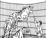 Coloriage Dompteur de Tigres dans Le Cage