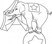 Coloriage Éléphant devant Le Chapiteau de Cirque