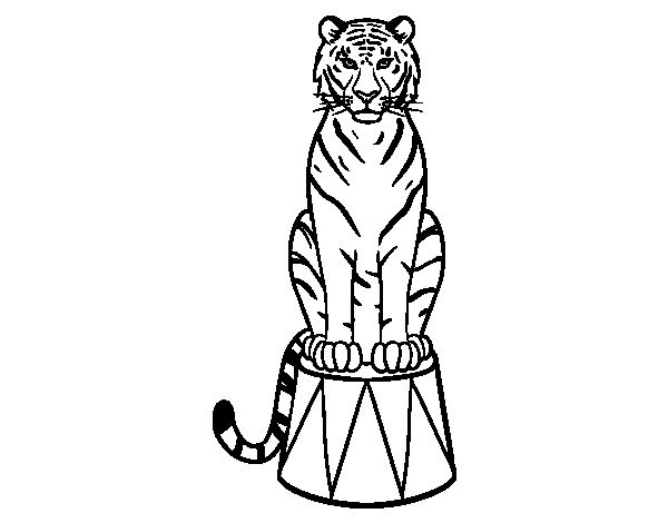 Coloriage et dessins gratuits Tigre de Cirque debout à imprimer