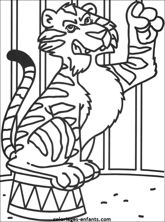 Coloriage et dessins gratuits Tigre du Cirque à imprimer