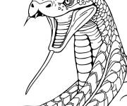 Coloriage Image logo de Cobra Kai