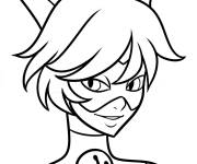 Coloriage et dessins gratuit Coloriez chat Noir de Miraculous à imprimer