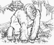 Coloriage Coloriez King Kong