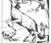 Coloriage Animaux des Fables de La Fontaine