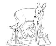 Coloriage et dessins gratuit Bambi et sas maman du contes pour enfants à imprimer