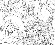 Coloriage Contes classiques de Le Vilain Petit Canard