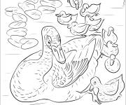 Coloriage Contes de M&egrave;re canard et ses canneton