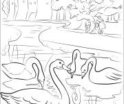 Coloriage Couvert du roman le Vilain Petit Canard