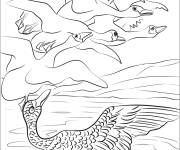 Coloriage Le Vilain Petit Canard en noir et blanc