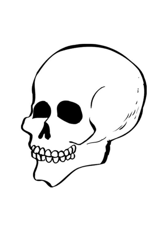 Coloriage et dessins gratuits Crâne à colorier à imprimer